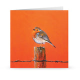 Mr red breast