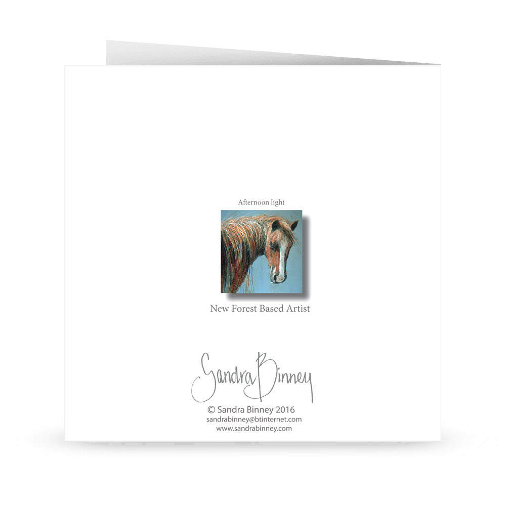 Afternoon Light – Sandra Binney
