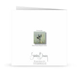 'morning light' Card