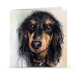 Daisy the dachshund