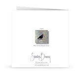 songster Card